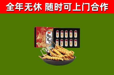 常宁回收冬虫夏草价格